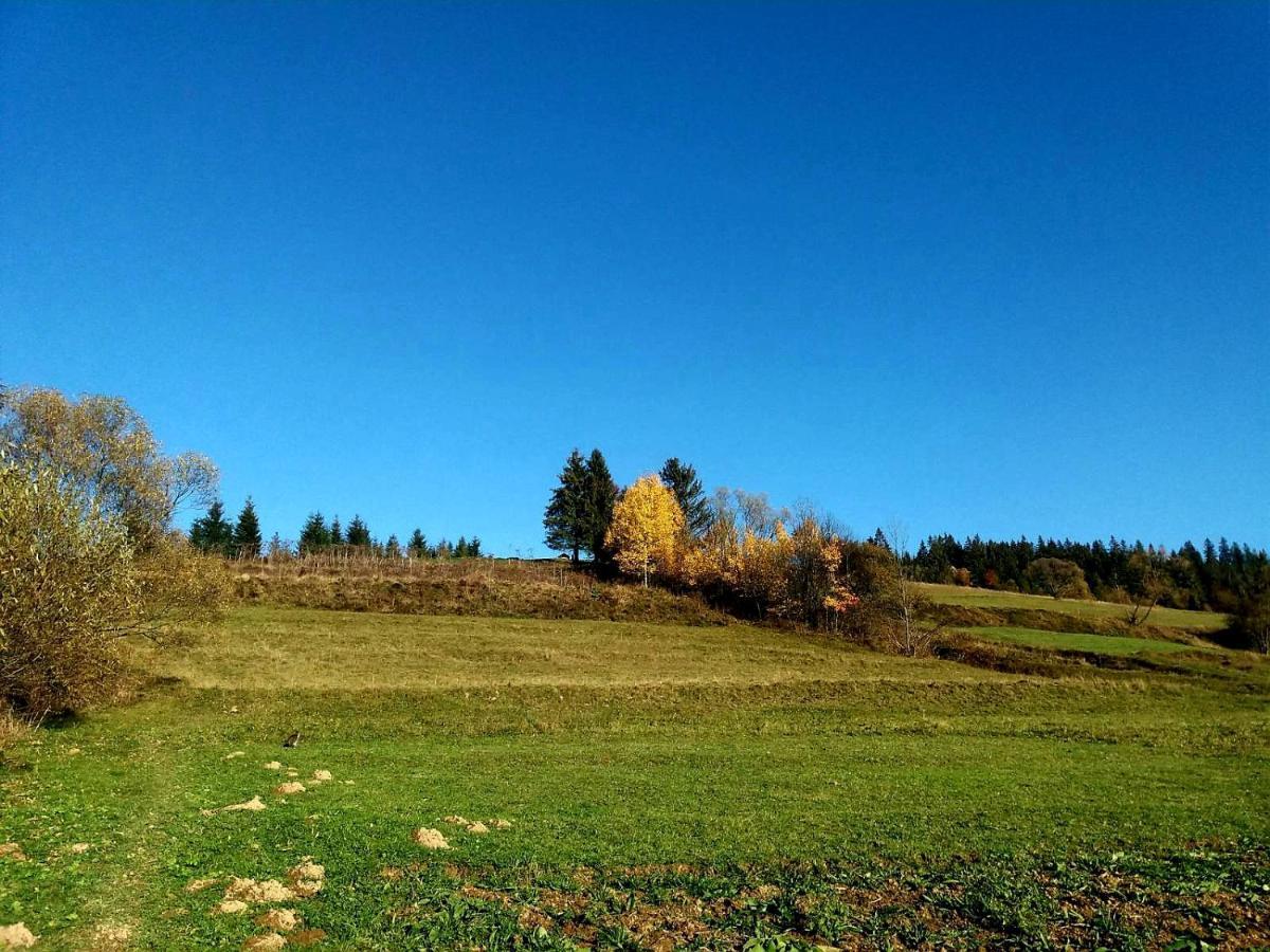 Hotel Gostynna Rodyna Izki Esterno foto