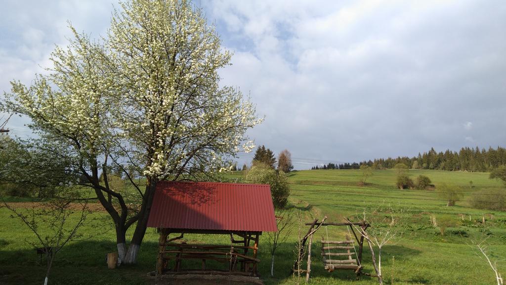 Hotel Gostynna Rodyna Izki Esterno foto
