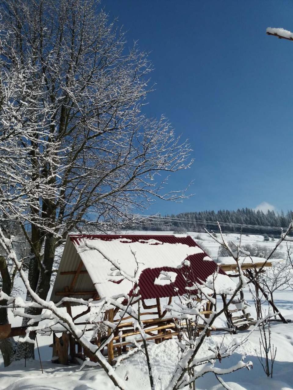Hotel Gostynna Rodyna Izki Esterno foto