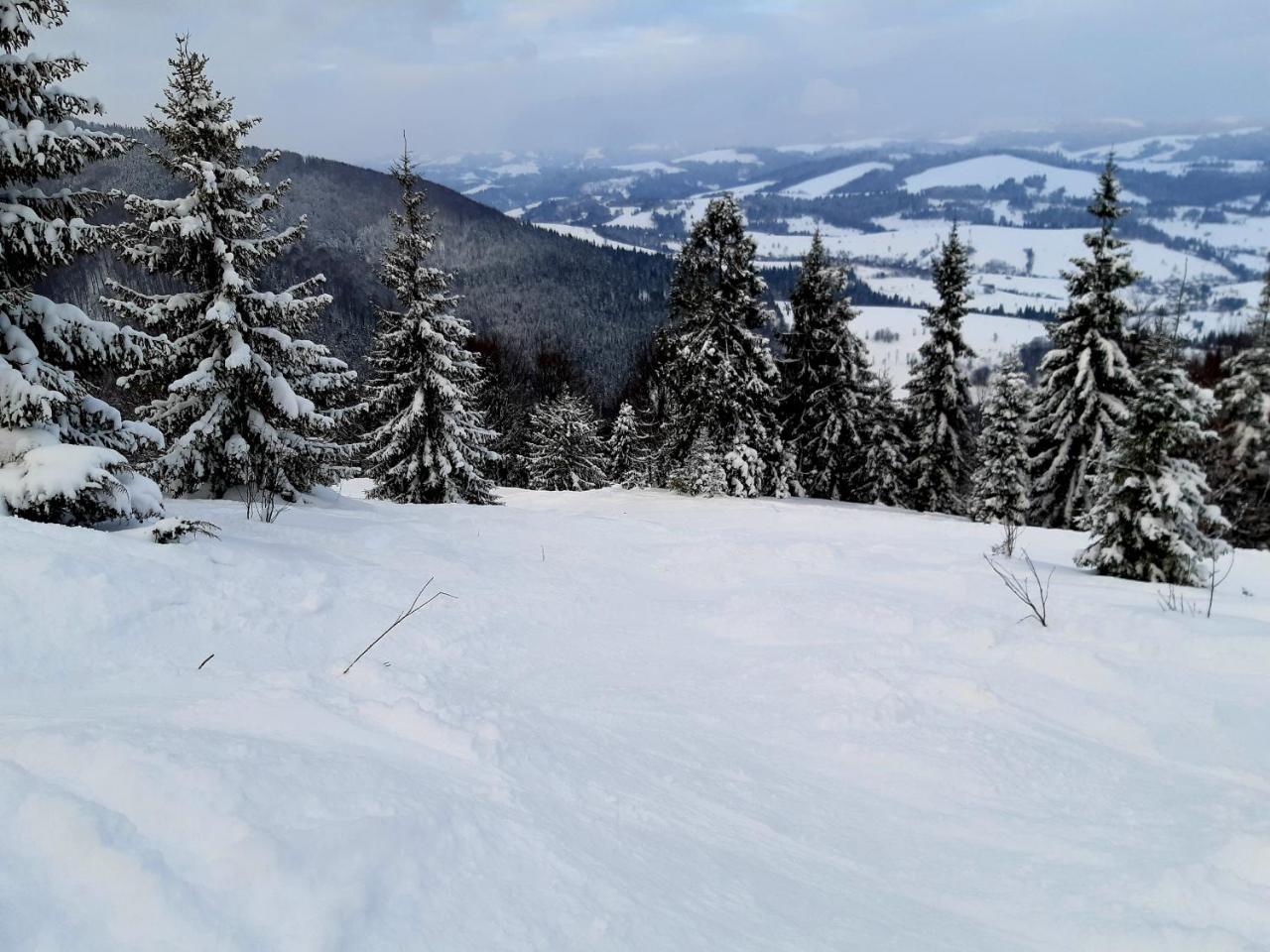 Hotel Gostynna Rodyna Izki Esterno foto