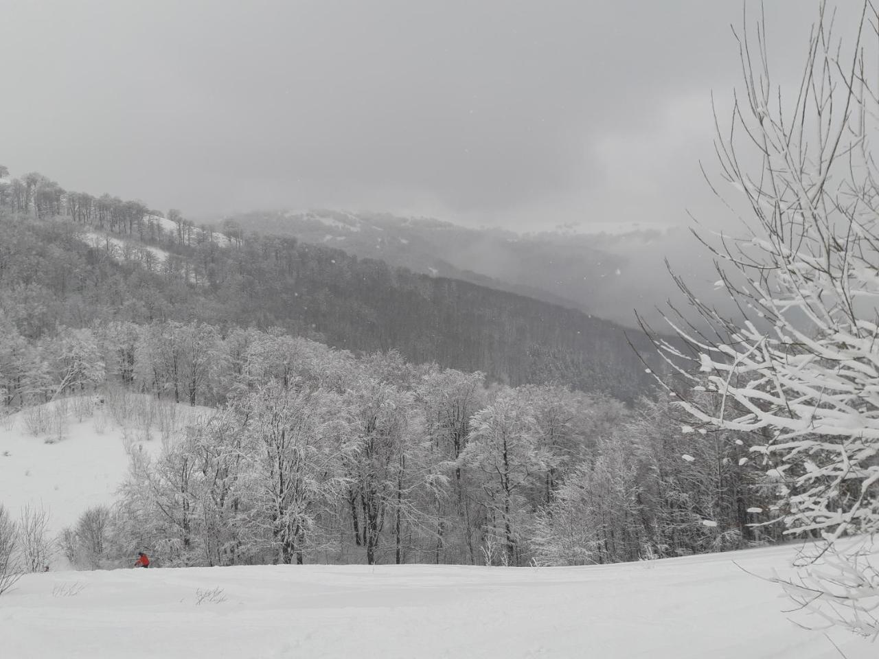 Hotel Gostynna Rodyna Izki Esterno foto