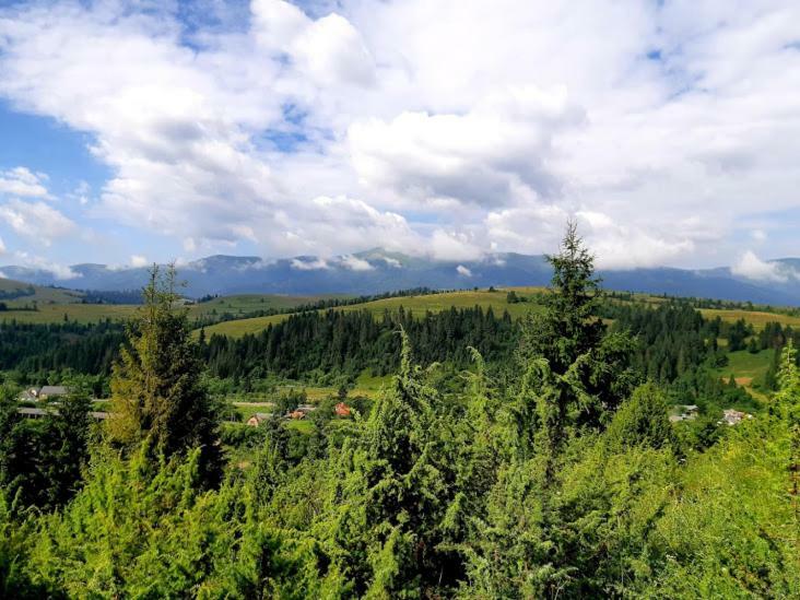 Hotel Gostynna Rodyna Izki Esterno foto