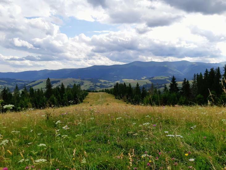 Hotel Gostynna Rodyna Izki Esterno foto